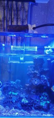 IMG_20221014_173848.jpeg