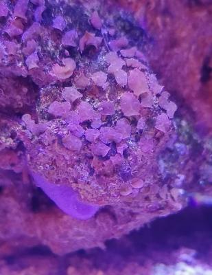 IMG_20221014_202524.jpeg