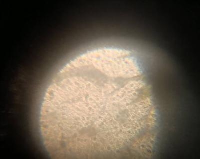 IMG_20221024_230102.jpeg