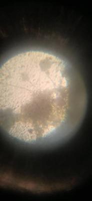 IMG_20221024_224633.jpeg