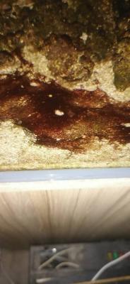 IMG_20221024_225358.jpeg