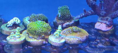 IMG_20221014_180920.jpg