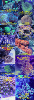 Текст абзаца (1).png