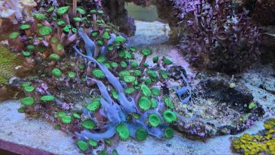 IMAGE 2024-10-16 16:48:22.jpg