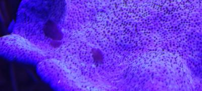 IMG_20241022_182031.jpg
