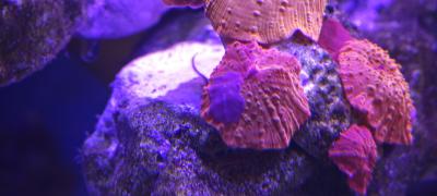 IMG_20241022_182020.jpg