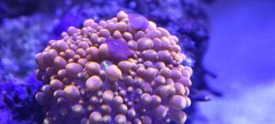 IMG_20241022_182108.jpg