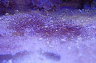 IMG_20240923_190112~2.jpg