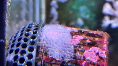 20241013_193354.jpg