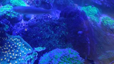 IMG-20251010-WA0044.jpeg
