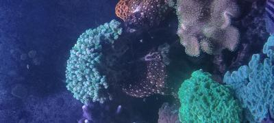 IMG_20250930_140848.jpg