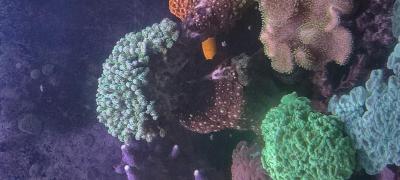 IMG_20250930_140823.jpg