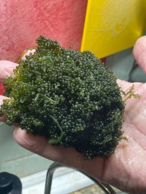 Image1761486280.642995.jpg