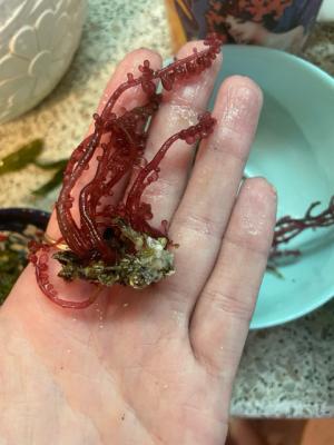 Image1761487088.970054.jpg