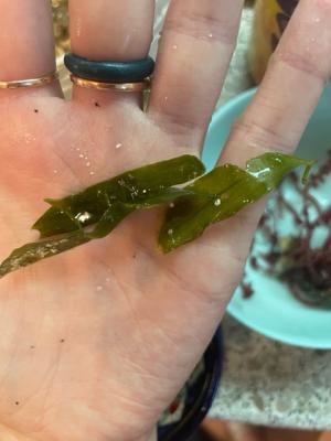 Image1761487099.337445.jpg