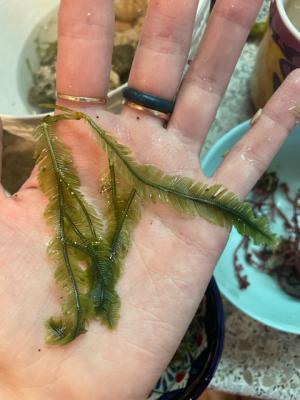 Image1761487112.881297.jpg
