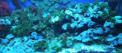 IMG_20251013_185538_658.jpg