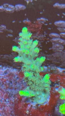 Изображение WhatsApp 2025-10-18 в 12.47.26_23ac6559.jpg