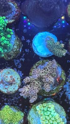 Изображение WhatsApp 2025-10-18 в 12.47.29_e0530aa7.jpg