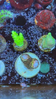 Изображение WhatsApp 2025-10-18 в 12.47.28_c38671f3.jpg