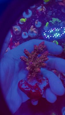 Изображение WhatsApp 2025-10-10 в 10.53.53_61efc431.jpg