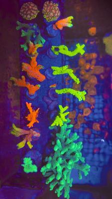 Изображение WhatsApp 2025-10-13 в 12.50.01_db2b0afb.jpg