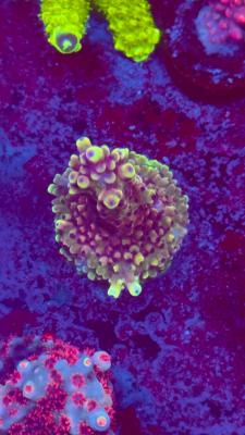 Изображение WhatsApp 2025-10-10 в 10.53.57_527f297d.jpg