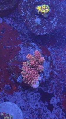 Изображение WhatsApp 2025-10-10 в 10.53.55_52992349.jpg