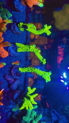 Изображение WhatsApp 2025-10-13 в 12.50.00_cddf01eb.jpg