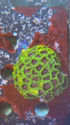 Изображение WhatsApp 2025-10-15 в 13.59.15_4127f7cc.jpg