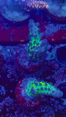 Изображение WhatsApp 2025-10-10 в 10.53.56_c21c26ec.jpg