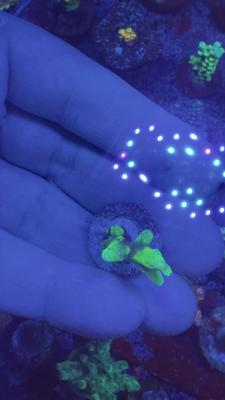 Изображение WhatsApp 2025-10-10 в 10.53.55_a21da8b6.jpg