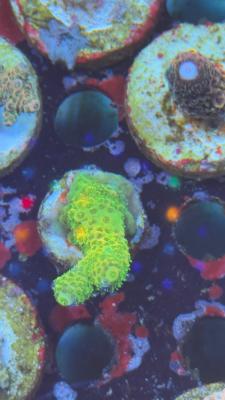 Изображение WhatsApp 2025-10-18 в 12.47.27_460a0d5f.jpg