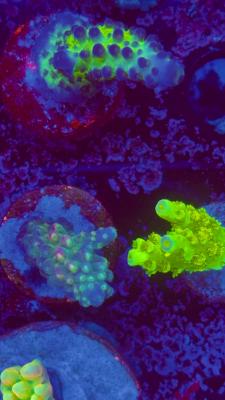 Изображение WhatsApp 2025-10-10 в 10.53.56_633b9a2d.jpg