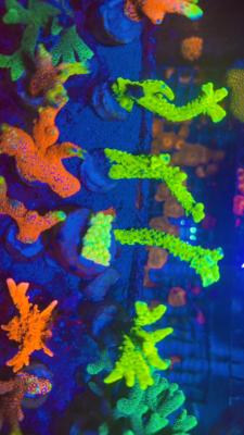 Изображение WhatsApp 2025-10-13 в 12.49.59_40869631.jpg