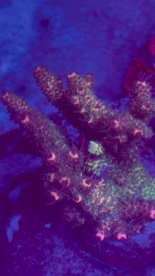 Изображение WhatsApp 2025-10-10 в 10.53.56_3fa87d5c.jpg