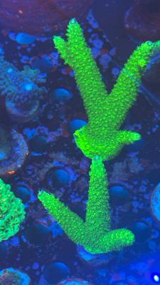 Изображение WhatsApp 2025-10-18 в 12.47.30_d075193b.jpg