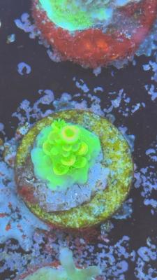 Изображение WhatsApp 2025-10-18 в 12.47.29_666987e1.jpg