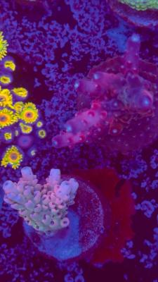 Изображение WhatsApp 2025-10-10 в 10.53.56_2eb62e93.jpg