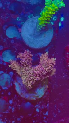 Изображение WhatsApp 2025-10-10 в 10.53.54_584b496a.jpg