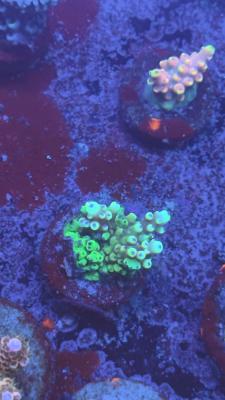 Изображение WhatsApp 2025-10-10 в 10.53.55_ad991fbe.jpg