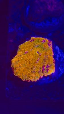 Изображение WhatsApp 2025-10-10 в 10.53.53_edd3b754.jpg