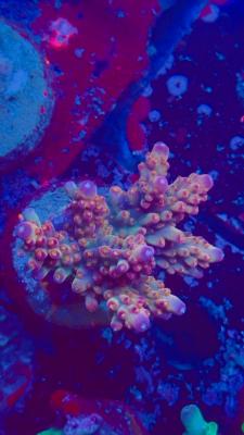 Изображение WhatsApp 2025-10-10 в 10.53.54_c20221c2.jpg