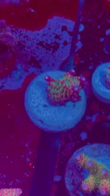 Изображение WhatsApp 2025-10-10 в 10.53.57_243df14e.jpg