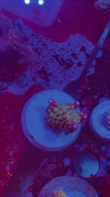 Изображение WhatsApp 2025-10-10 в 10.53.55_55fbd65c.jpg