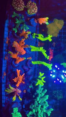 Изображение WhatsApp 2025-10-13 в 12.50.00_5eee4b63.jpg