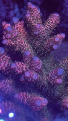 Изображение WhatsApp 2025-10-10 в 10.53.56_88eff82e.jpg