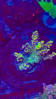 Изображение WhatsApp 2025-10-10 в 10.53.55_95f44cb8.jpg