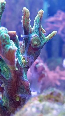 IMG_20251021_132638~2.jpg