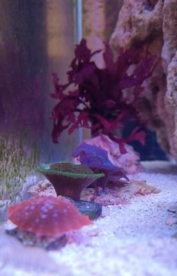 IMG_20251022_161319~2.jpg